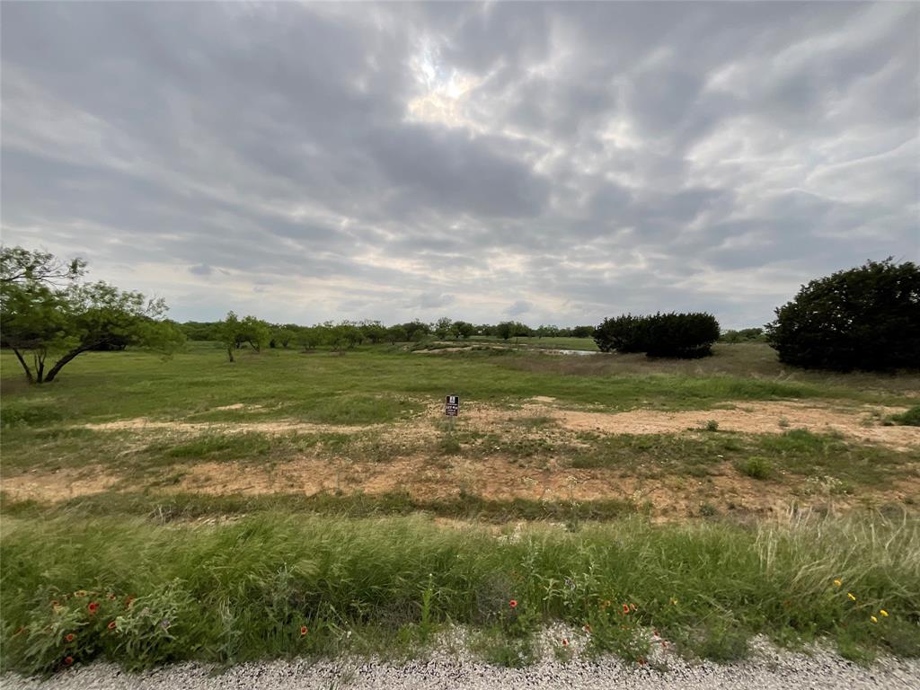 1009 Goodnight Trail Property Photo 8