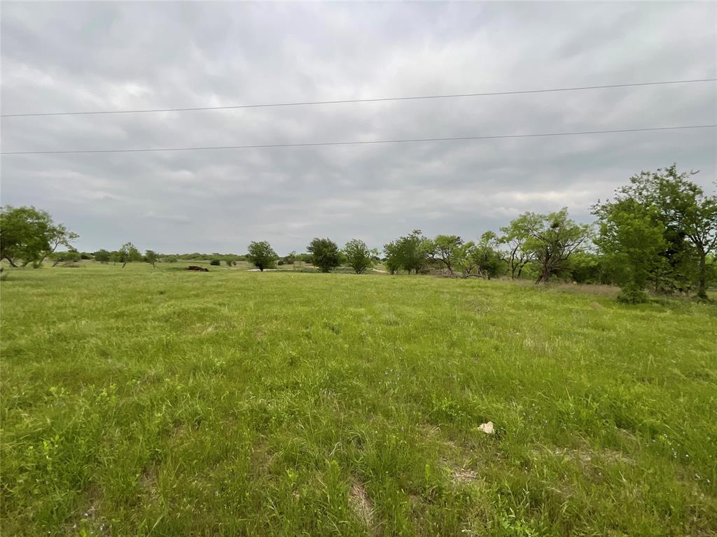 1009 Goodnight Trail Property Photo 9