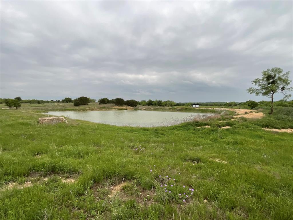 1009 Goodnight Trail Property Photo 10