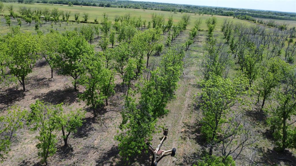 Tbd Fm-2861 Property Photo