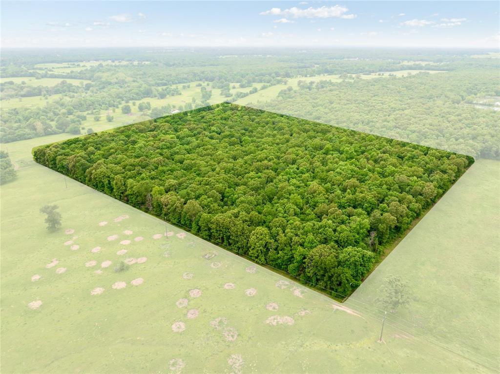 Tbd Farm To Market 194 Property Photo 1
