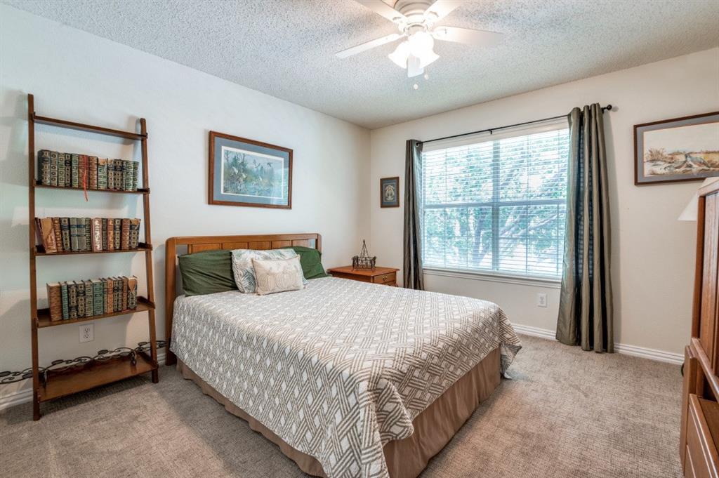 10557 Stargazer Drive Property Photo 19