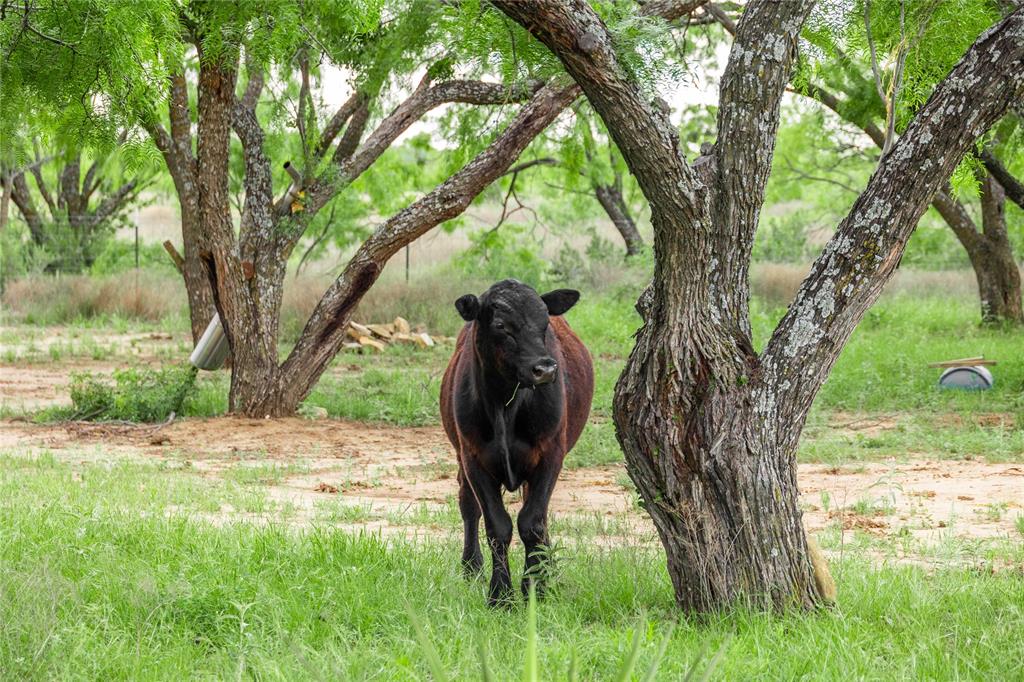 5088 Us-67 84 Property Photo 1