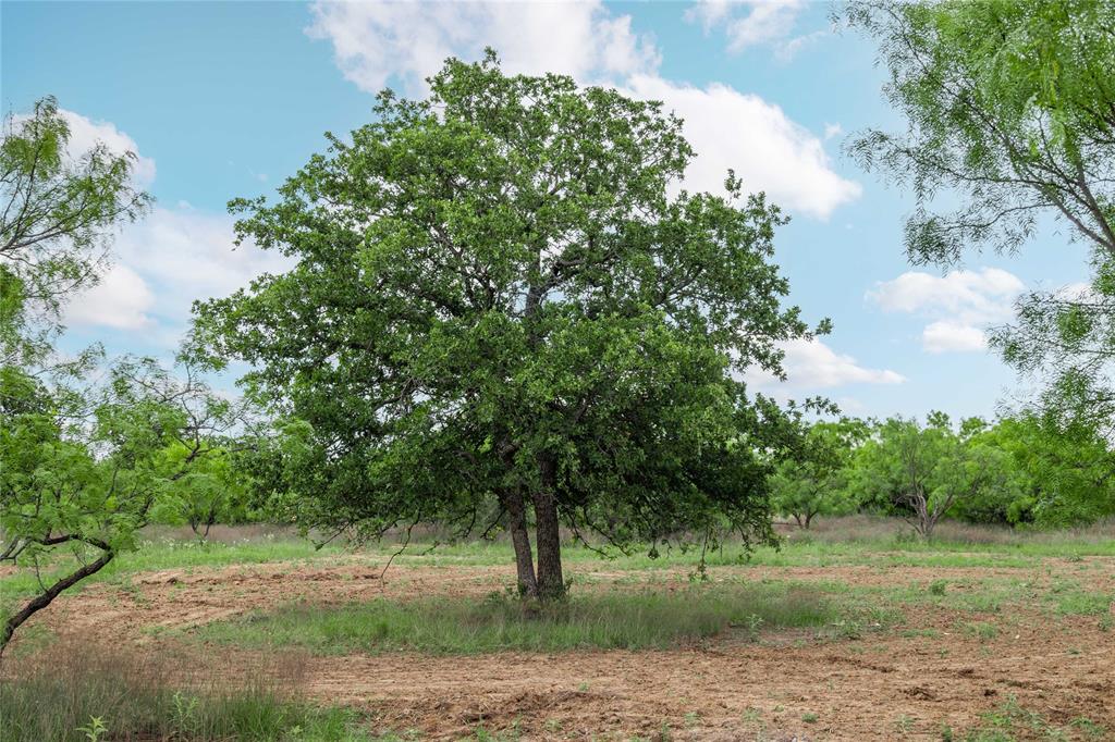 5088 Us-67 84 Property Photo 33