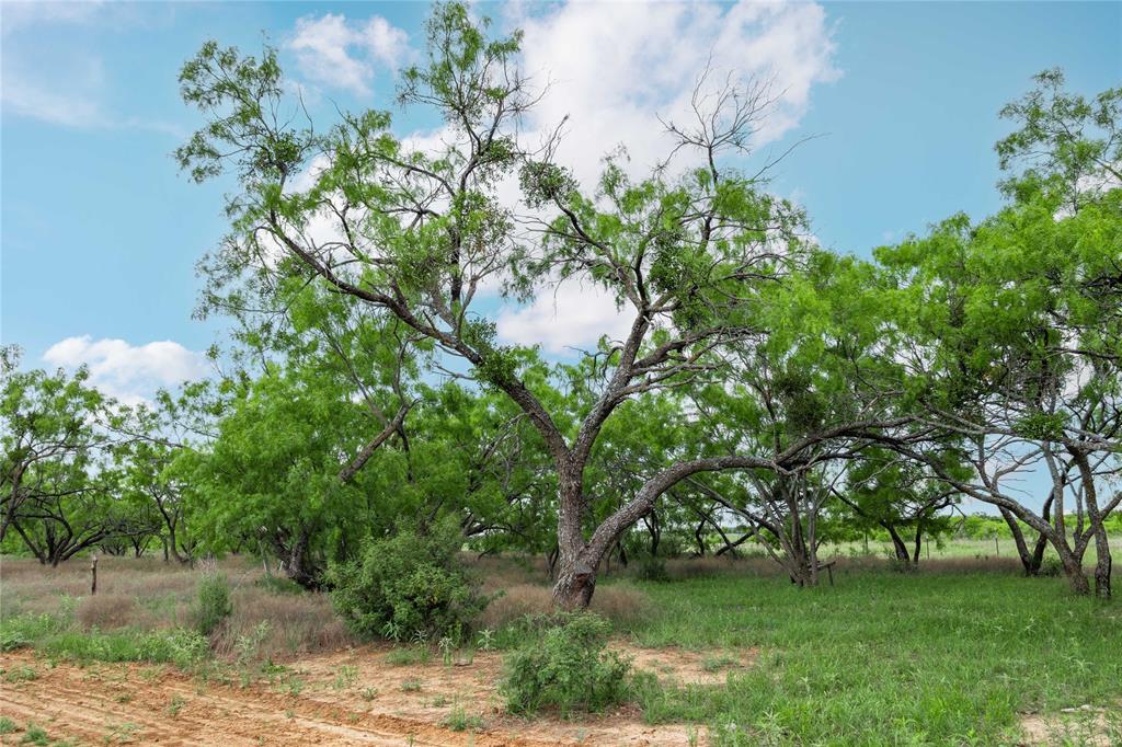 5088 Us-67 84 Property Photo 34