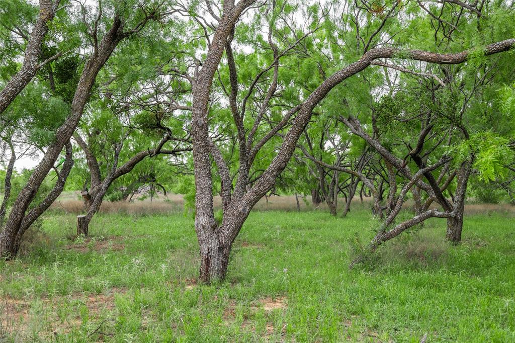 5088 Us-67 84 Property Photo 35