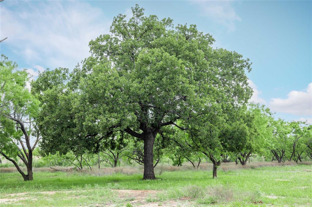 5088 Us-67 84 Property Photo 36