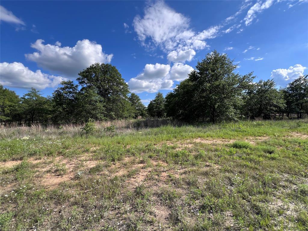 Tbd Lot 31 Live Oak Trail Property Photo