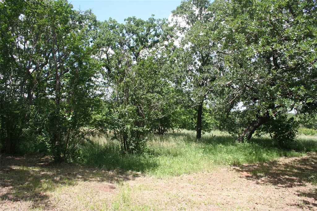 215 Buzbee Road Property Photo 1