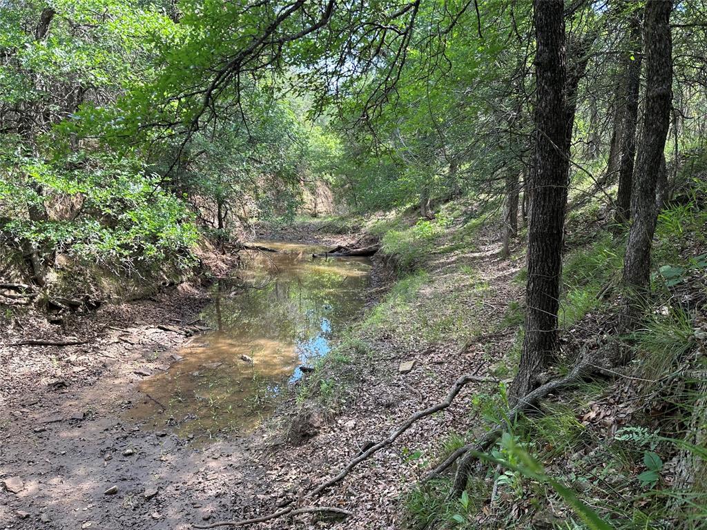 Tbd County Road 291 Property Photo