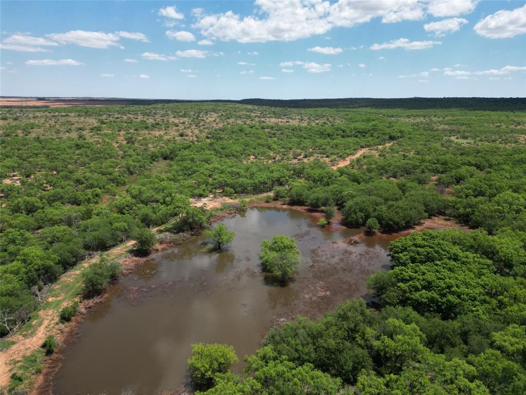 Tbd County Road 441 Property Photo 1