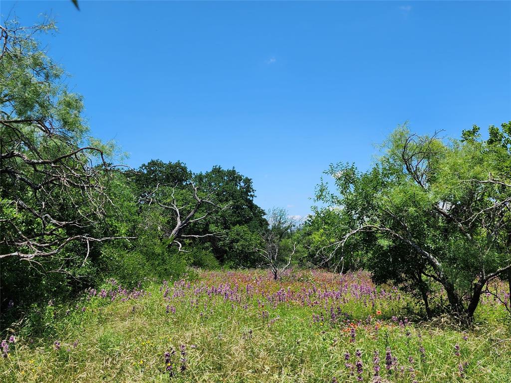 Tbd County Road 127 Property Photo