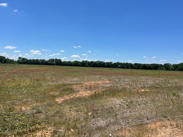 000 Chisolm Trail Chisolm Trail Property Photo 3