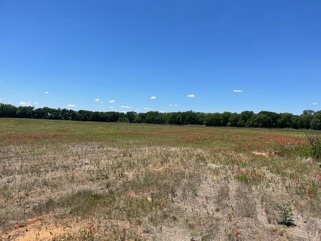 000 Chisolm Trail Chisolm Trail Property Photo 4