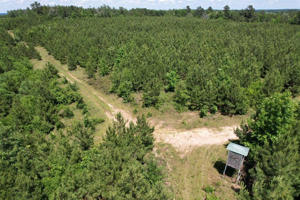Tbd County Road 3206 Property Photo