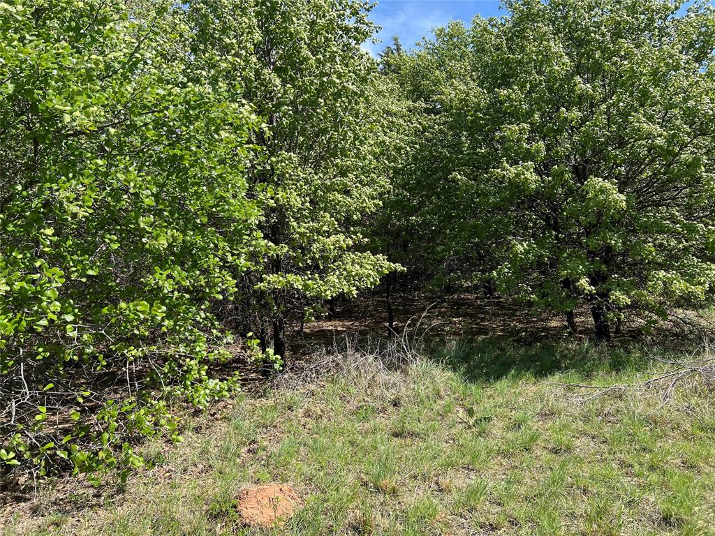 127 Rivercrest Drive Property Photo 4