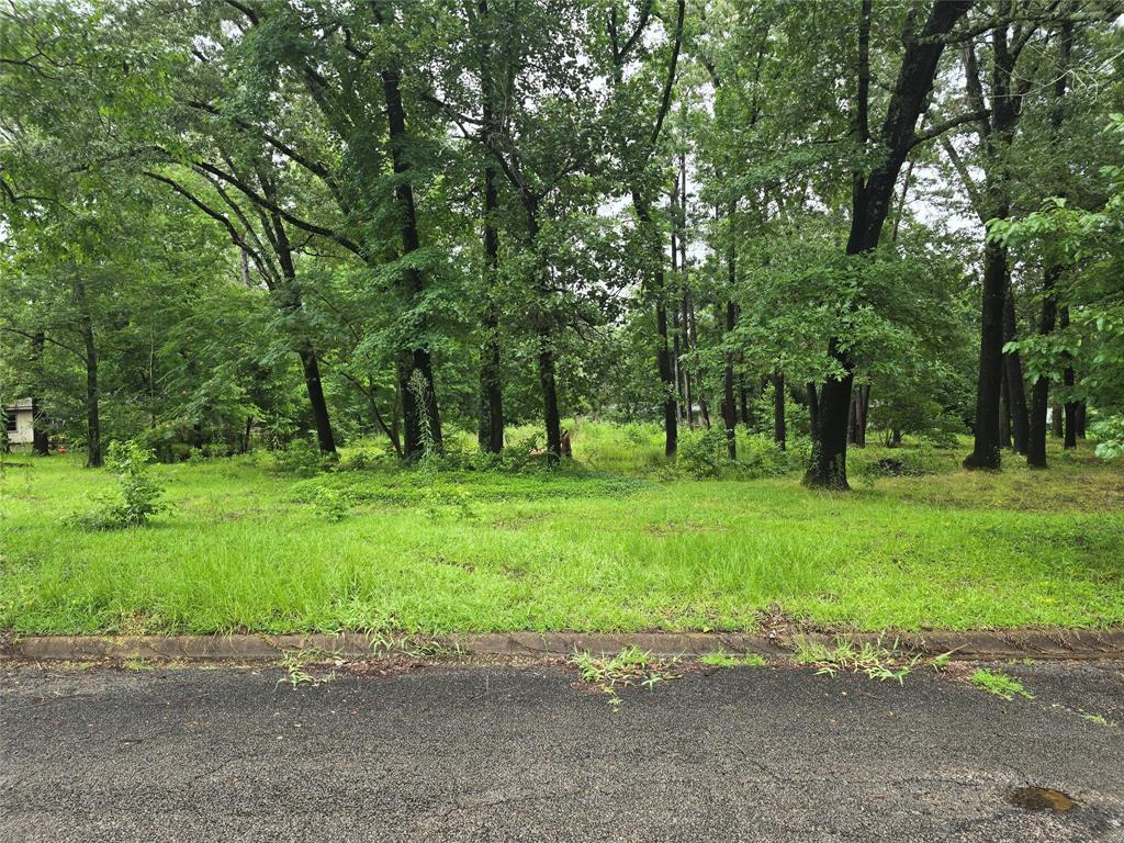 208 Mountain View Drive Property Photo 1