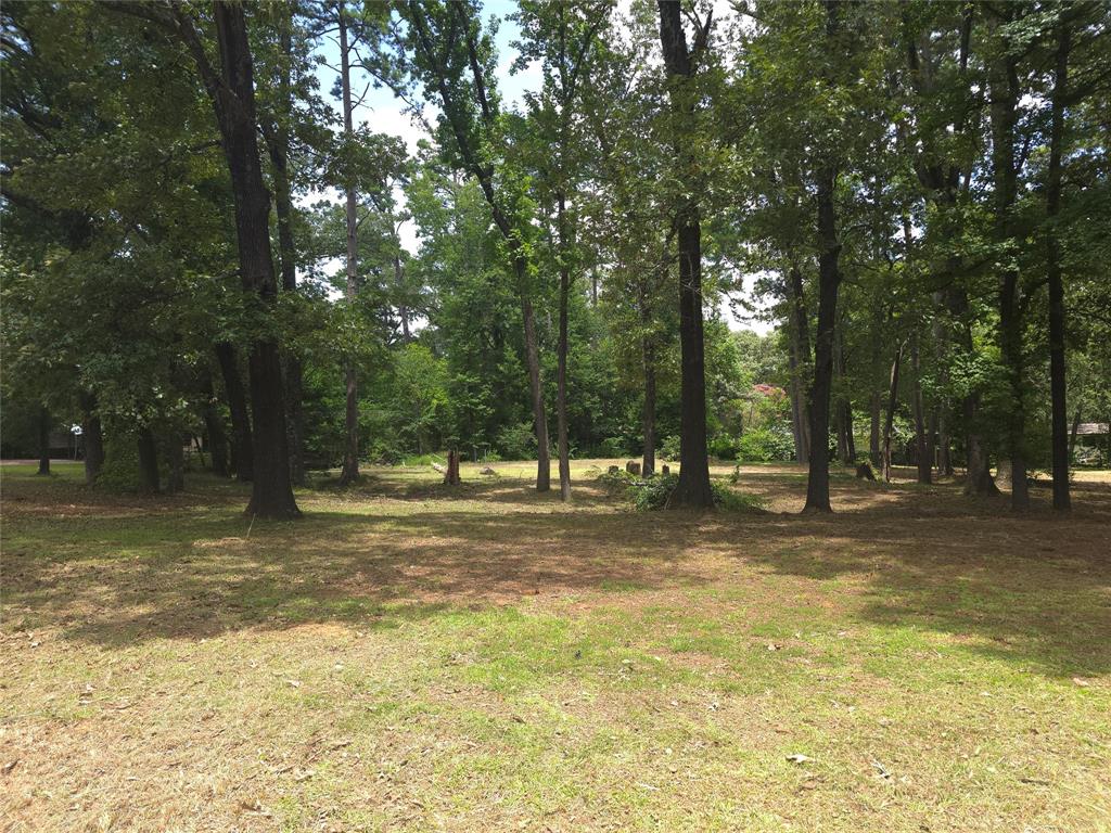 208 Mountain View Drive Property Photo 1
