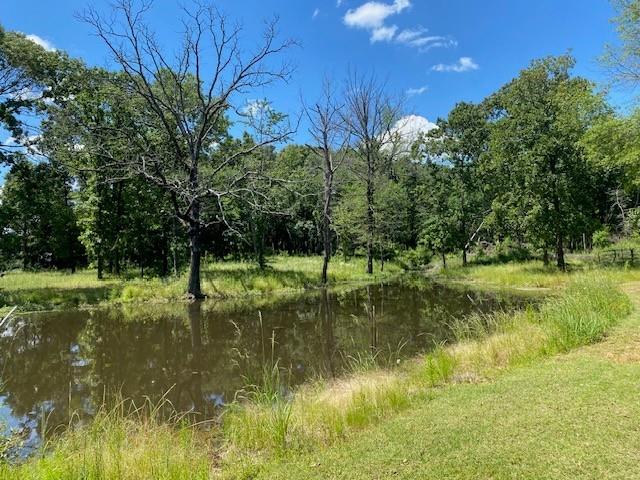 610 Old Tyler Highway Property Photo