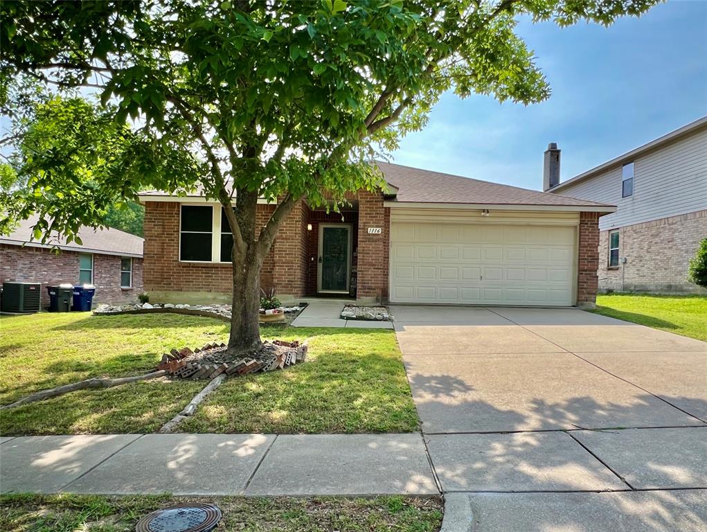1116 Willow Tree Drive Property Photo