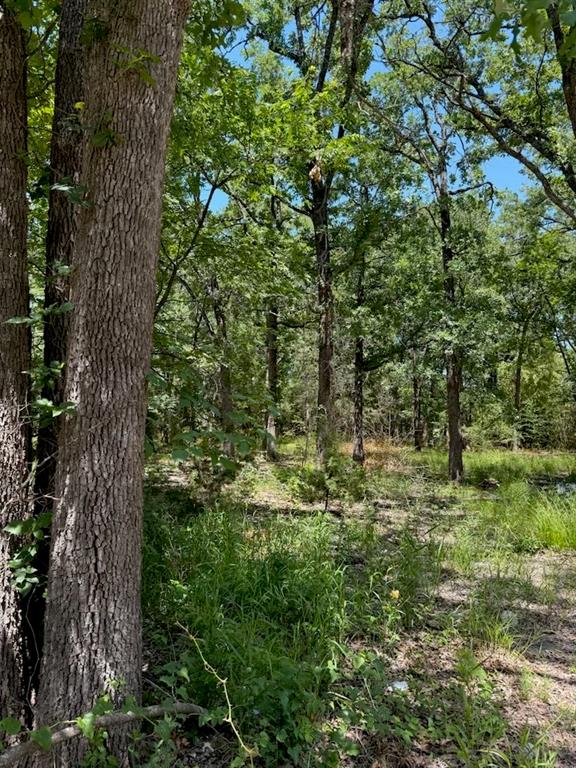 316 Sandy Lynn Property Photo