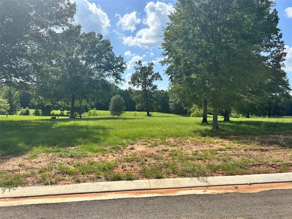 0 (lot 68) Autumn Creek Circle Property Photo 1