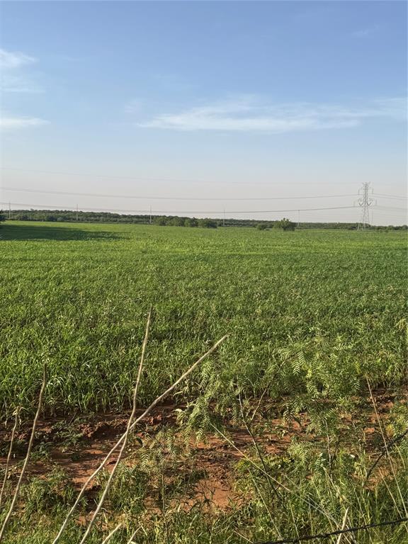 Tbd 25 Acres County Road 368 Property Photo