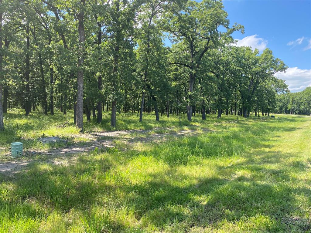 Lot 37 Vintage Shore Dr Property Photo