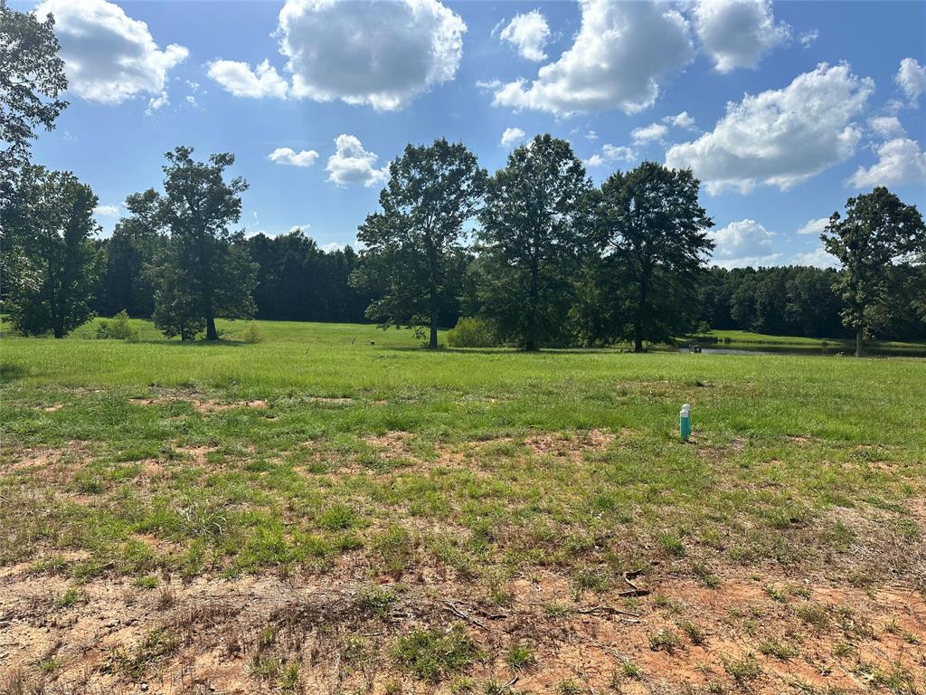 0 (lot 69) Autumn Creek Circle Property Photo 1