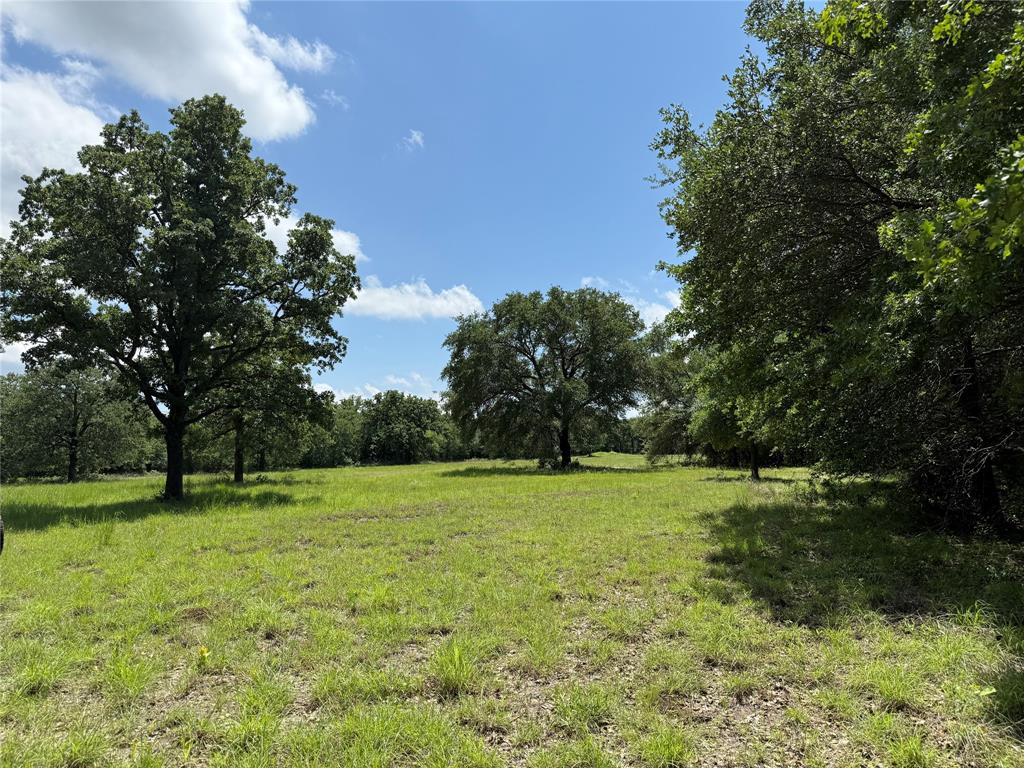 5010 Glen Rose Highway Property Photo 8