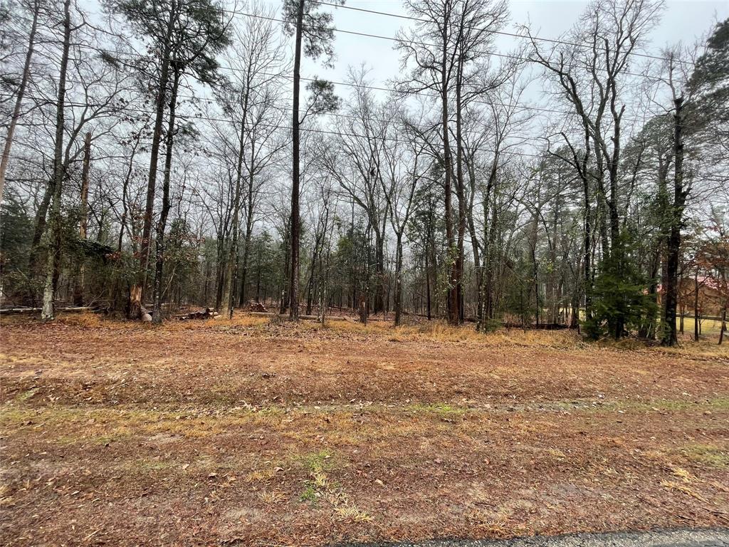 Tbd King Sebastion Road Property Photo