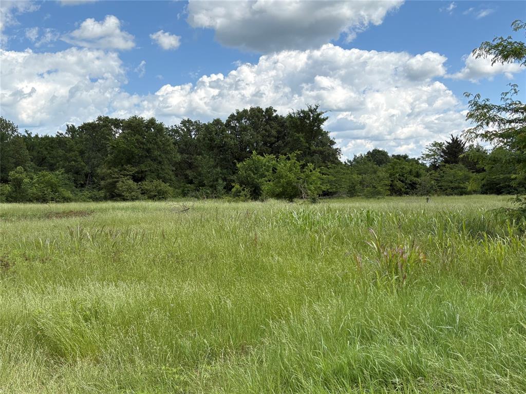 405 County Road 1126 Property Photo 1