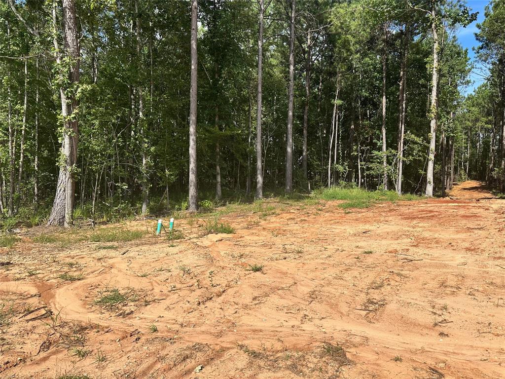 0 (lot 74) Autumn Creek Property Photo 1