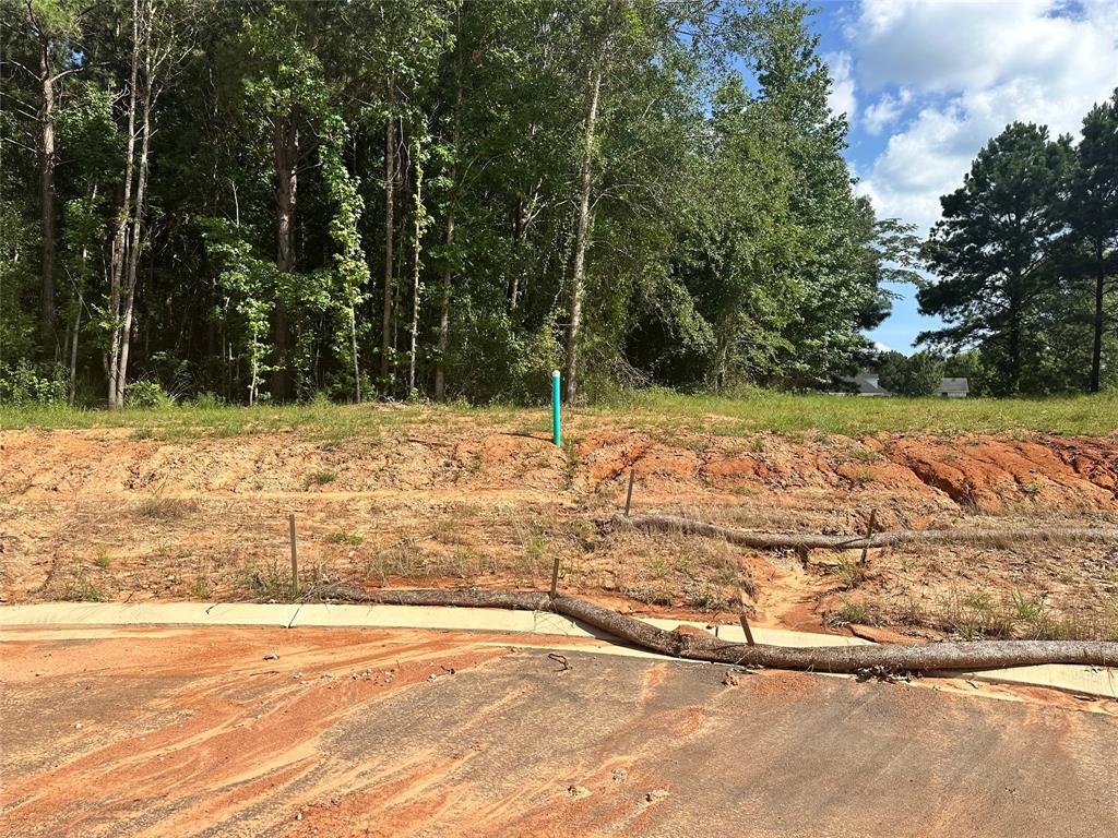 0 (lot 75) Autumn Creek Circle Property Photo 1