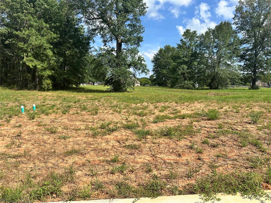 0 (lot 76) Autumn Creek Circle Property Photo 1