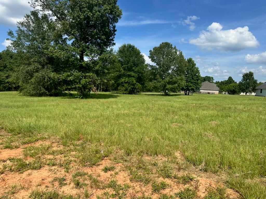0 (lot 77) Autumn Creek Circle Property Photo 1