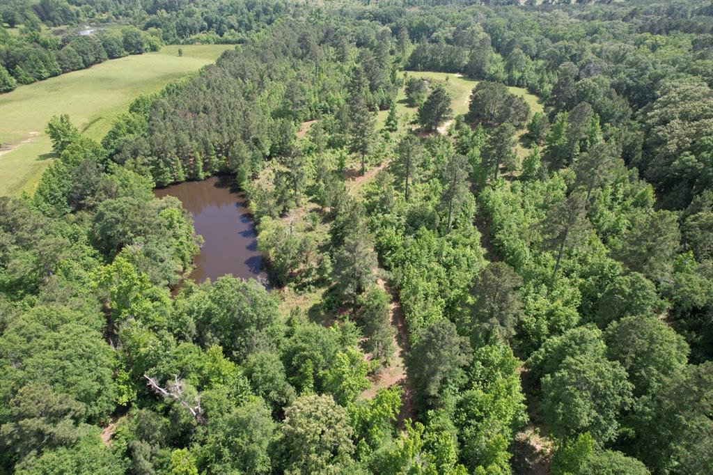 Tbd Fm 13 Property Photo