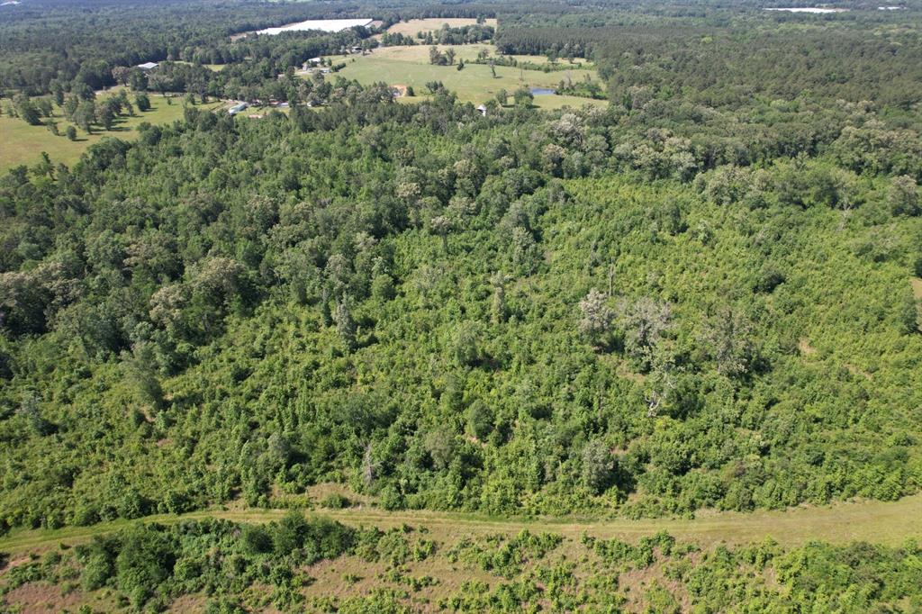 Tbd-d County Road 4021 Property Photo 4