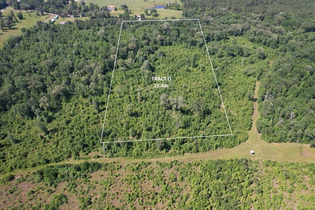 Tbd-d County Road 4021 Property Photo 5