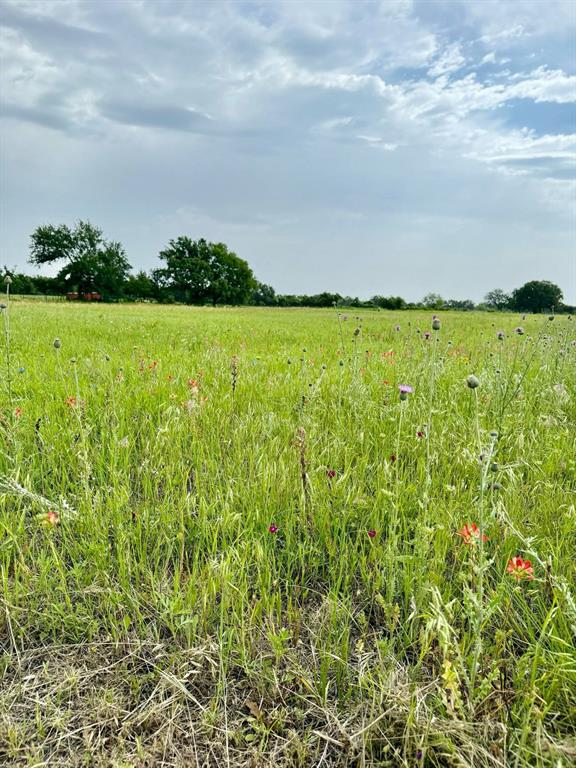 Tbd Sadie Ln Property Photo