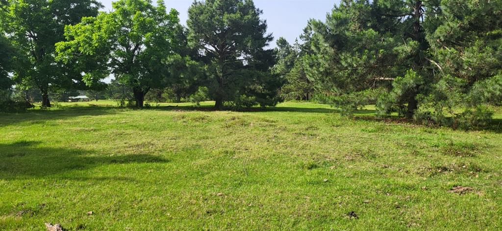 Tbd Cr 1176 Property Photo