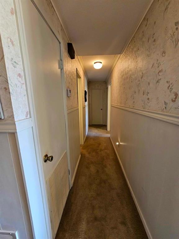517 An County Road 147 Property Photo 2