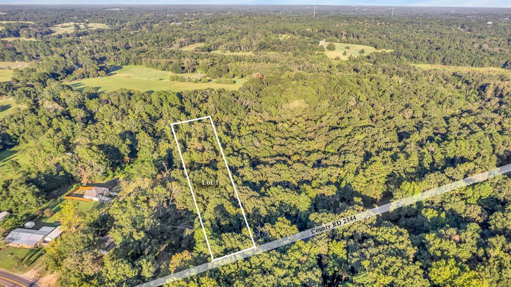 Lot 1 & 2 Fm 2344 Property Photo