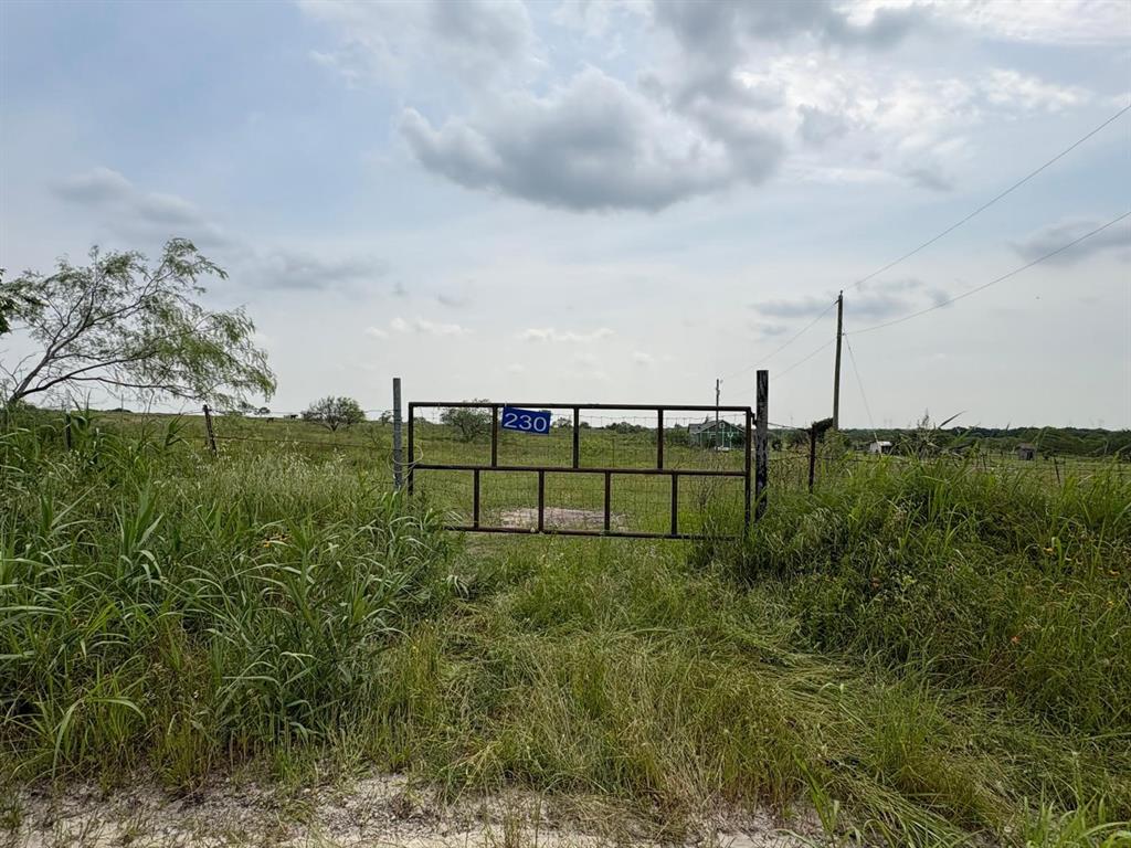 Tbd County Road 215 Property Photo 1