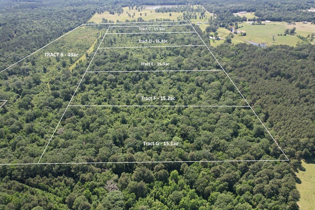 Tbd-e County Road 4021 Property Photo 1