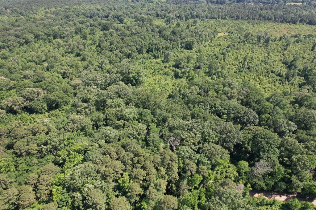 Tbd-e County Road 4021 Property Photo 3