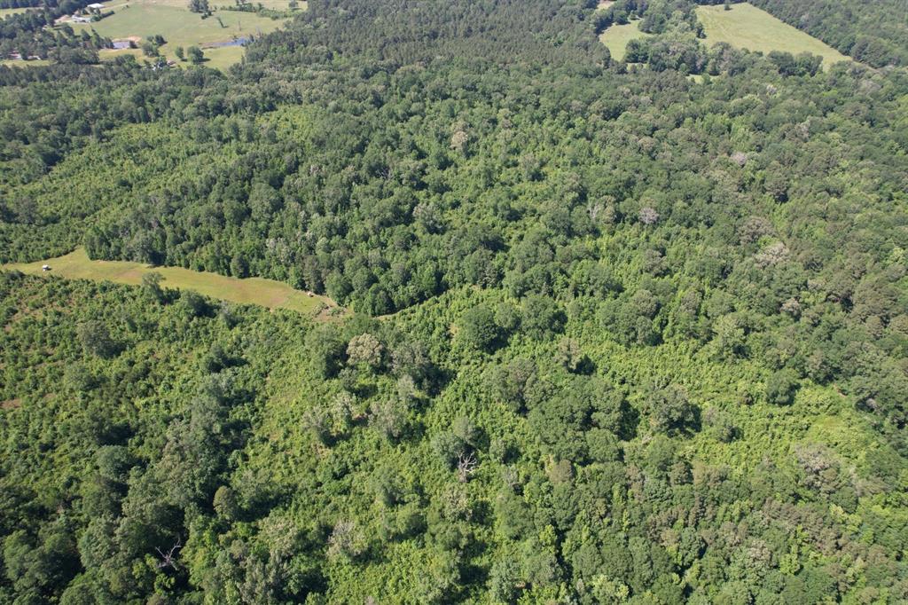 Tbd-f County Road 4021 Property Photo 3