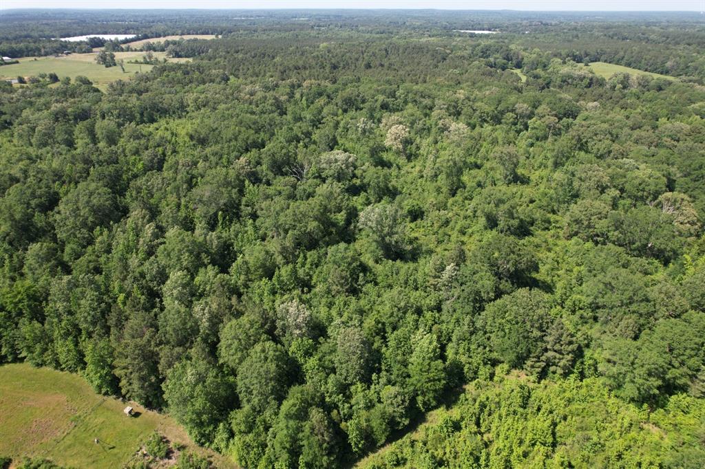 Tbd-f County Road 4021 Property Photo 4