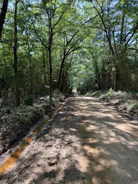 Tbd-f County Road 4021 Property Photo 6