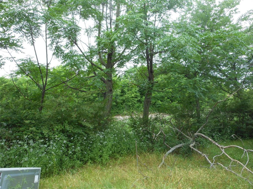 4234 E Us-380 Property Photo 3